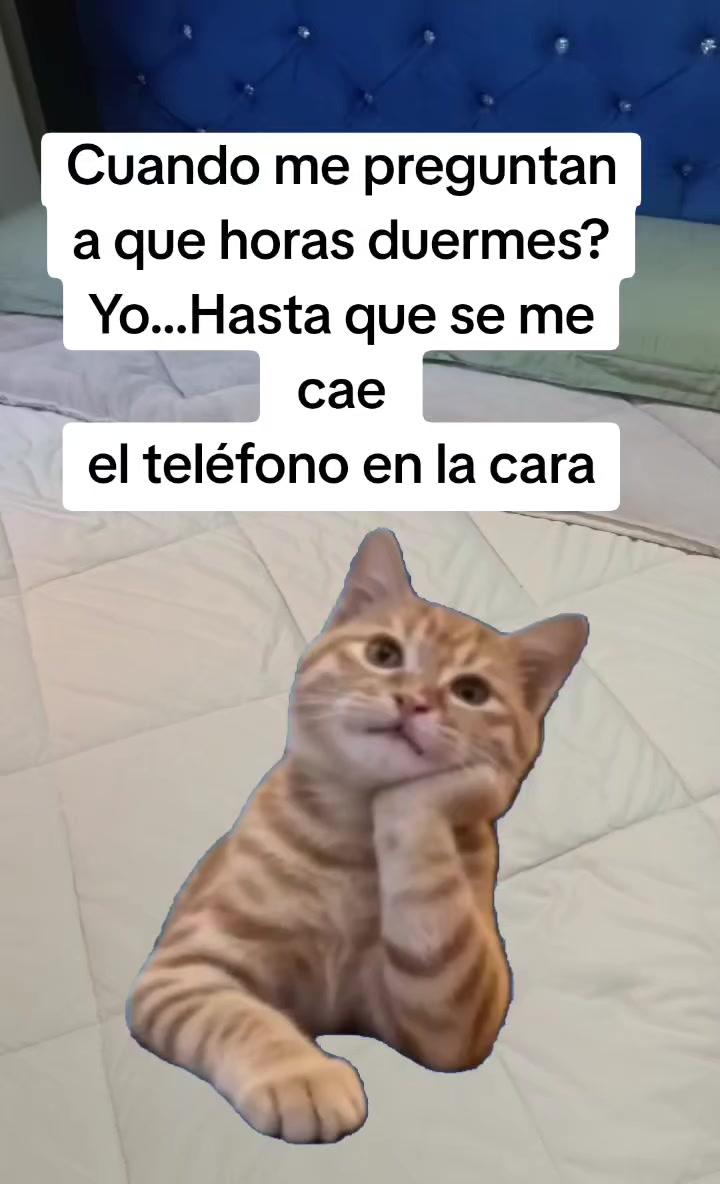 @𝓕𝓮𝓵𝓲𝓬𝓱𝓸 :p