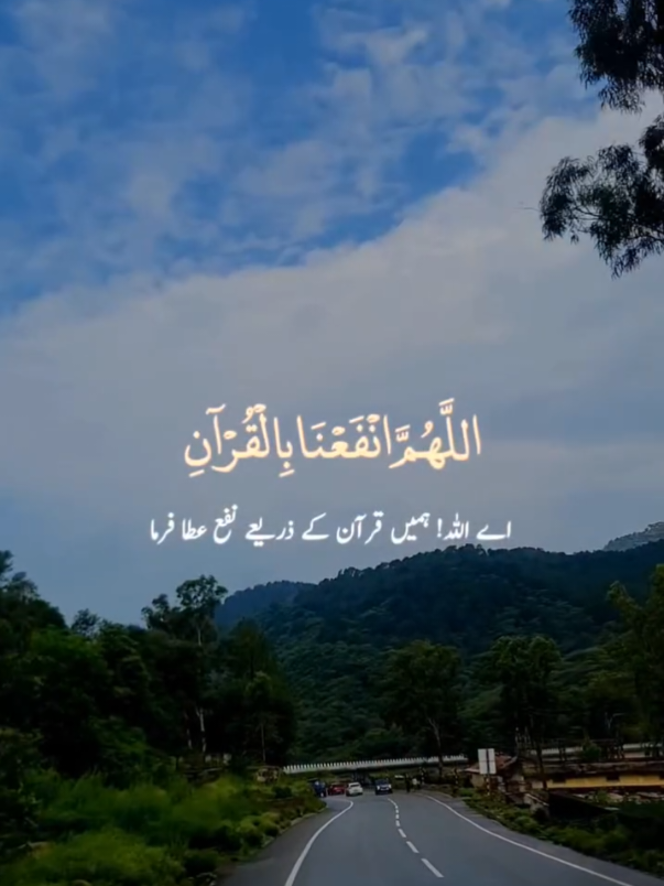 @جام اظہر محمود خالدی 🇵🇰🇸🇦