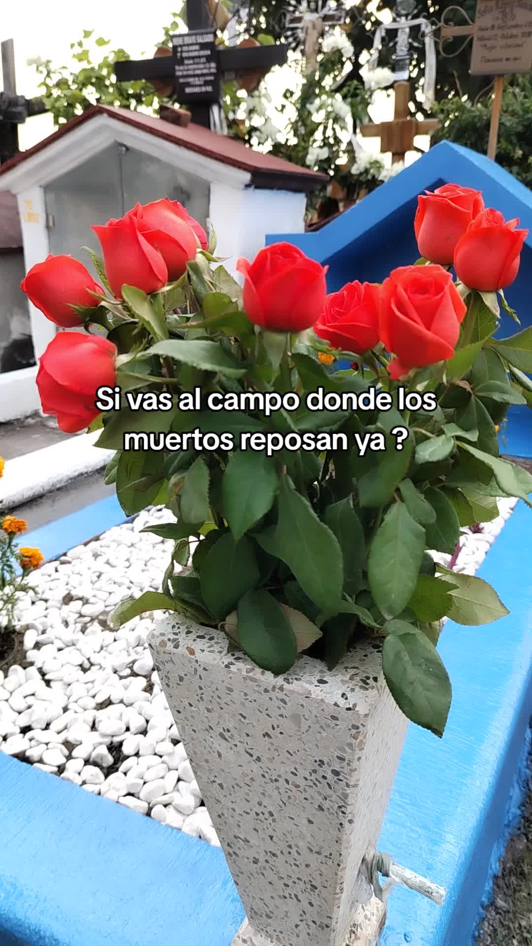 @️Rockelita