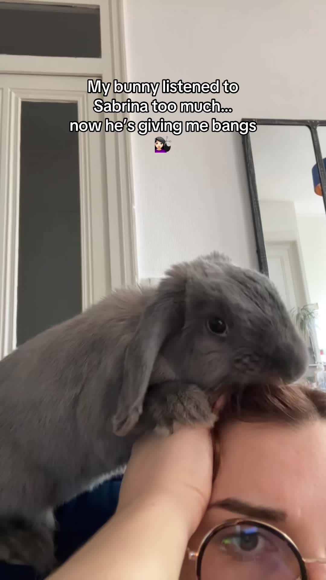 @Buzz the Bunny