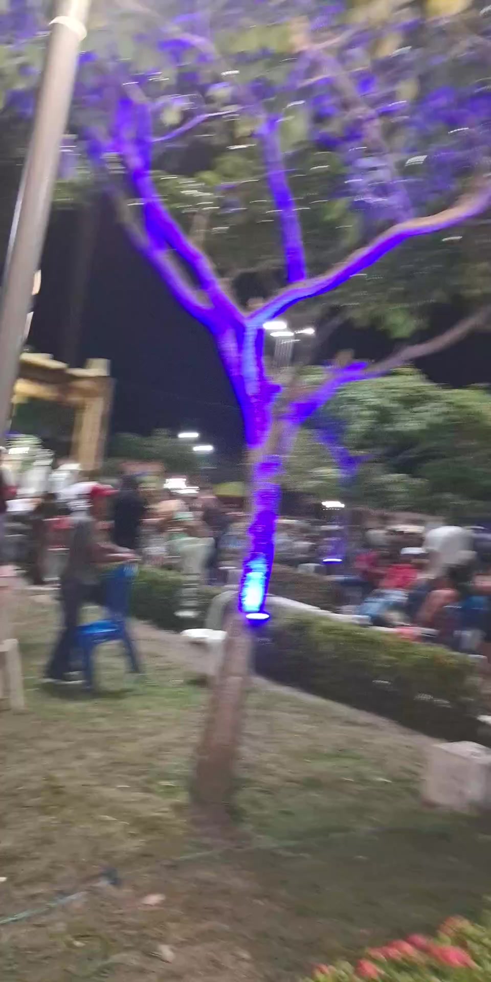 @Rosa Marinho