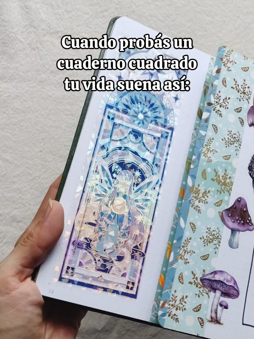 @los tips de Luci 📓
