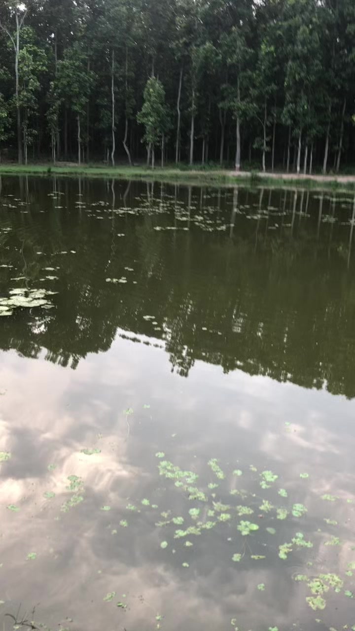@मौसम कुलुङ