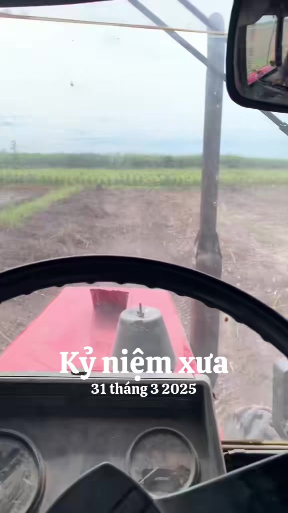 @Li&ecirc;m Thanh