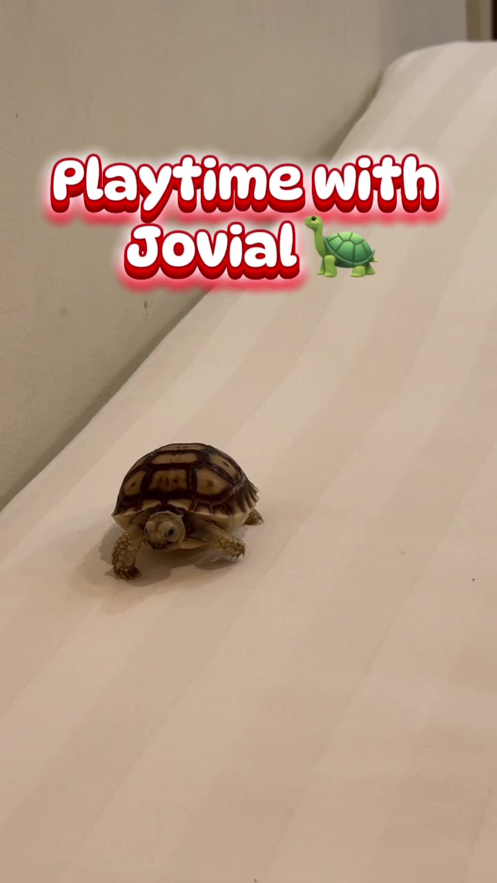 @Jovial Aberasturi