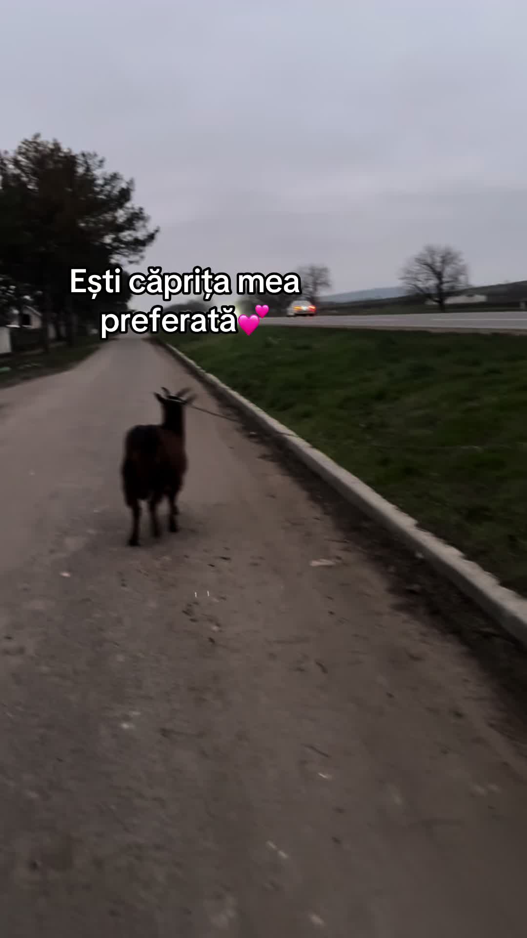 @Iuriana💓