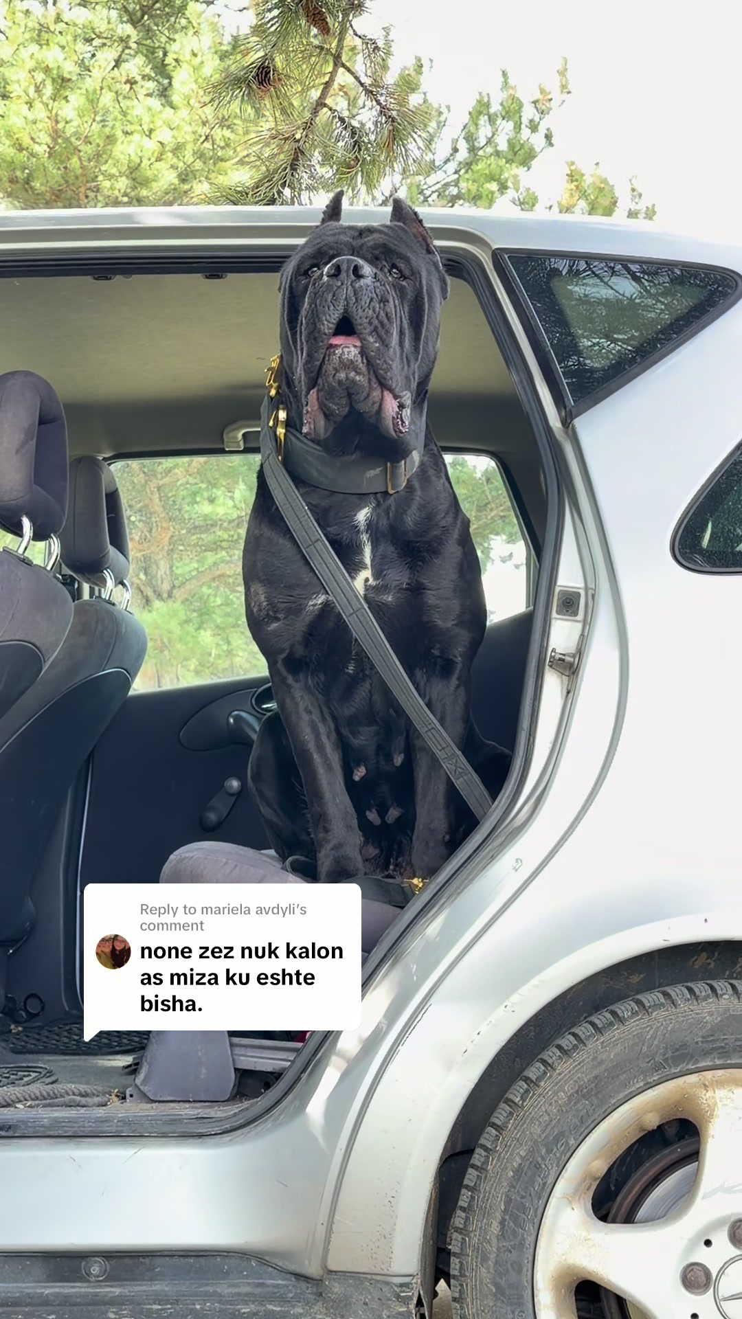 @guardiani_di_lako