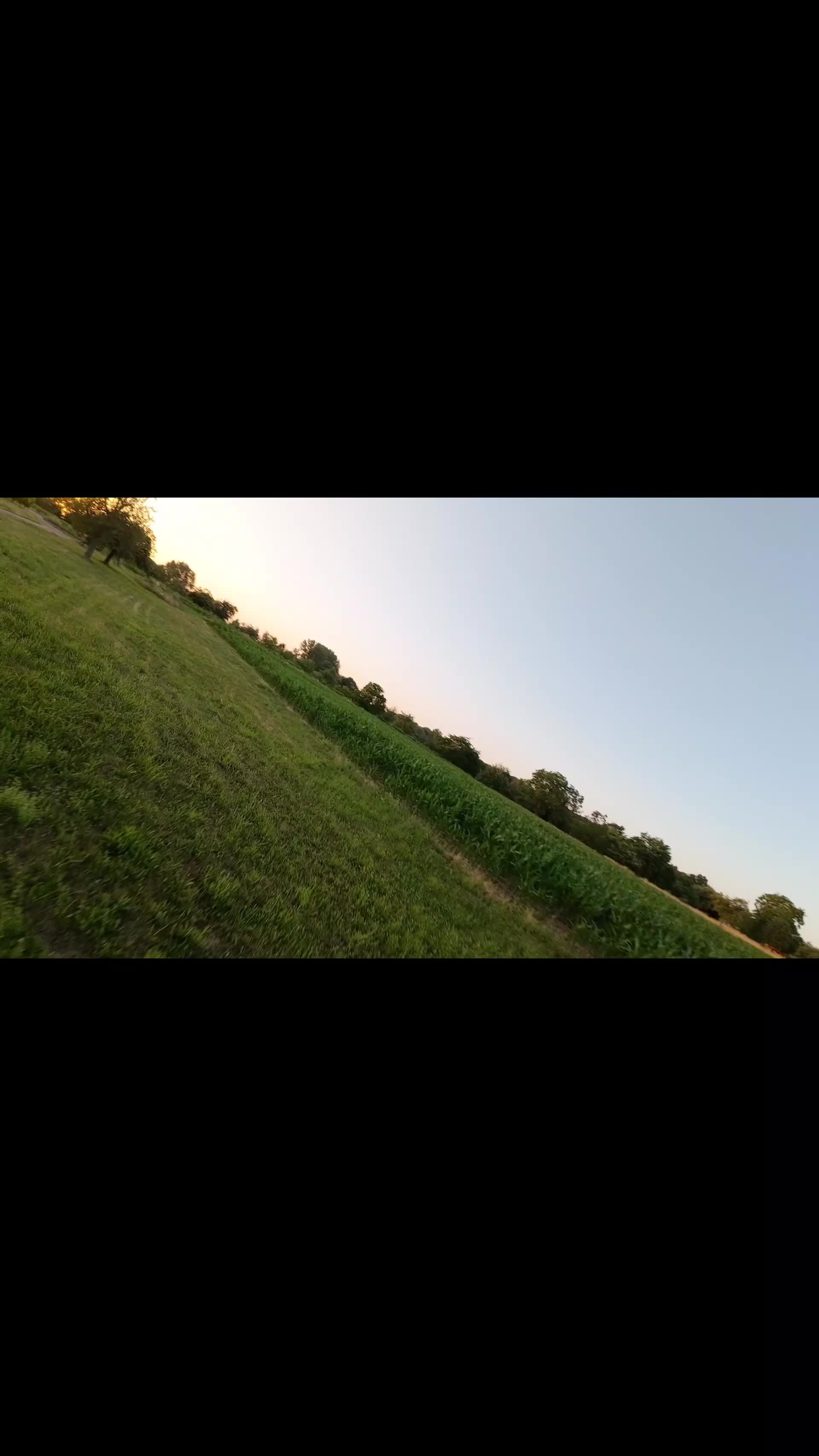 @Glaschick