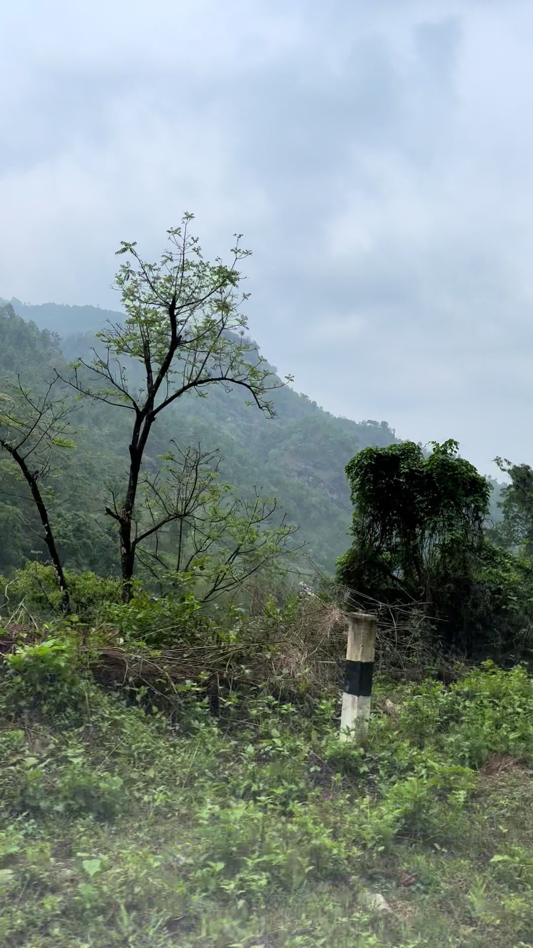 @Bharat Goutam