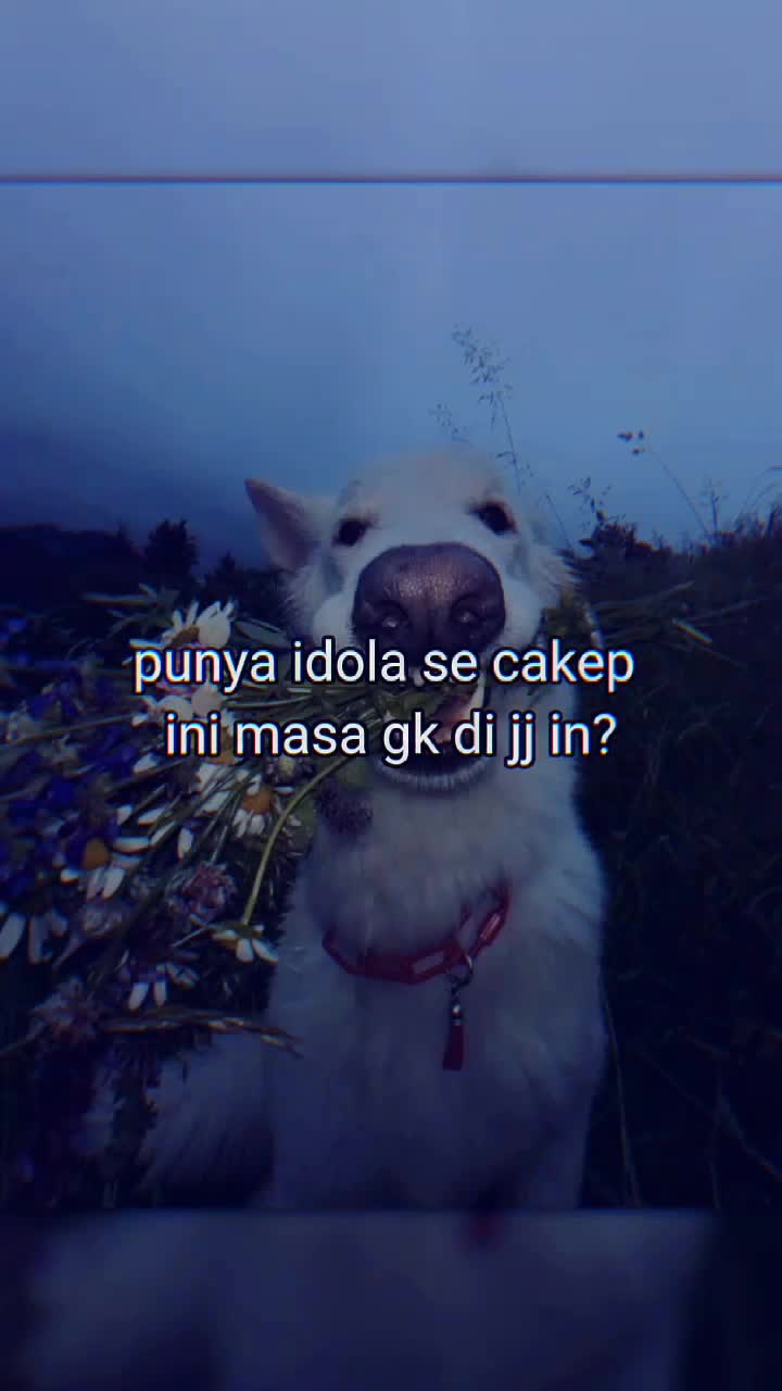 @jhāmzzxie.