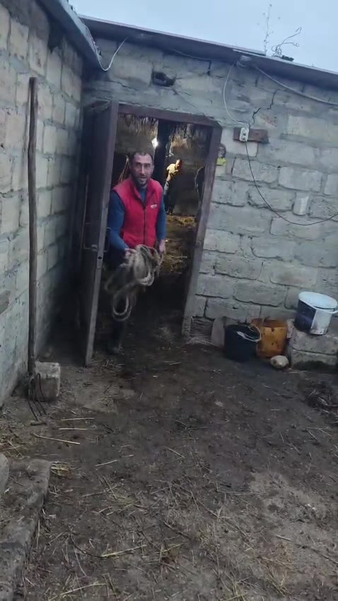 @Şah_Ət_Xaçmaz
