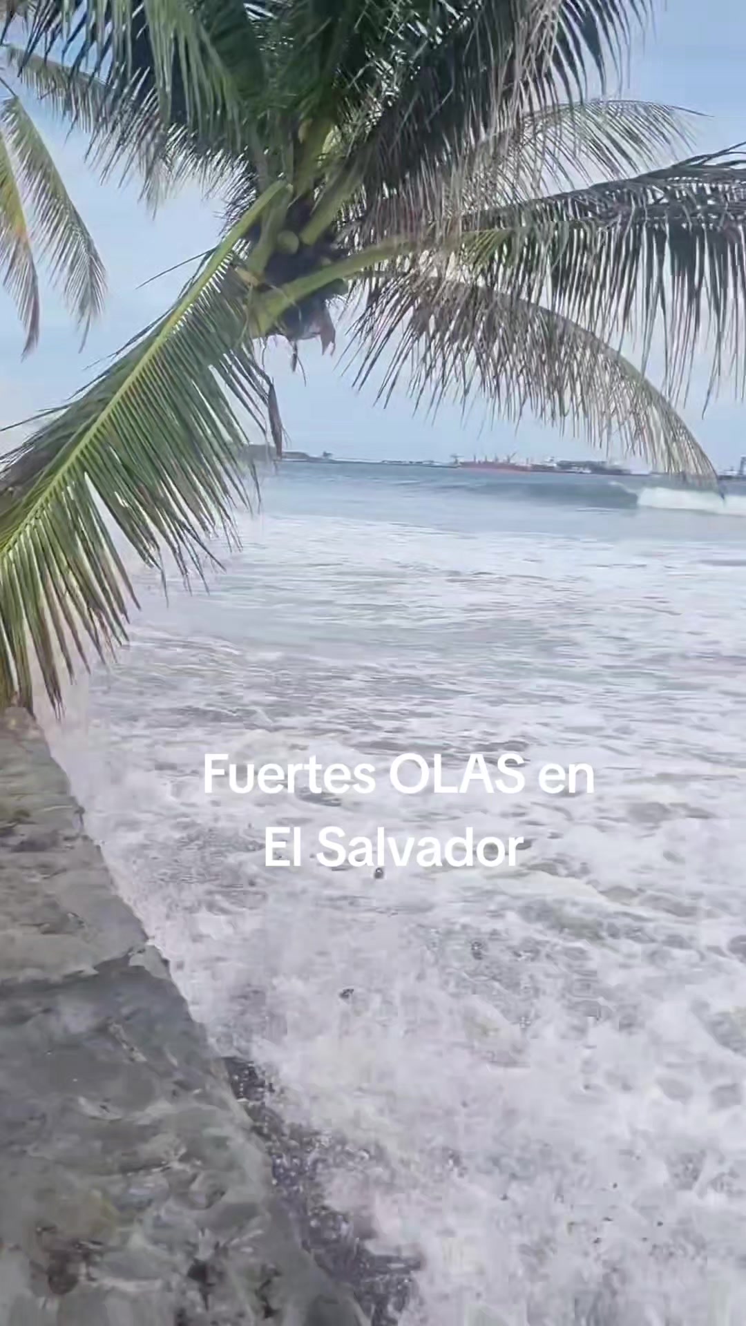 @estemaje sv 🇸🇻