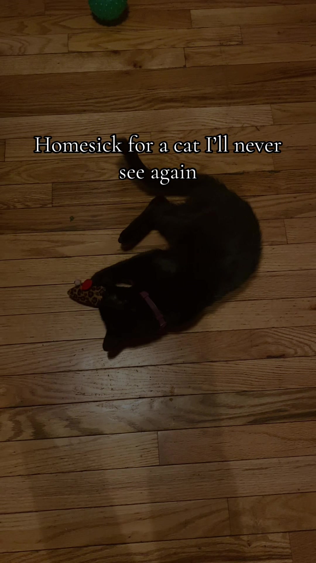 @Isaac