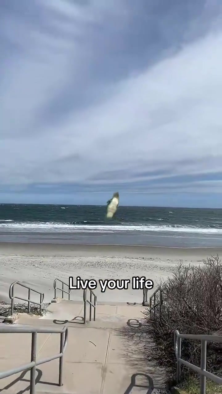 @Sarah