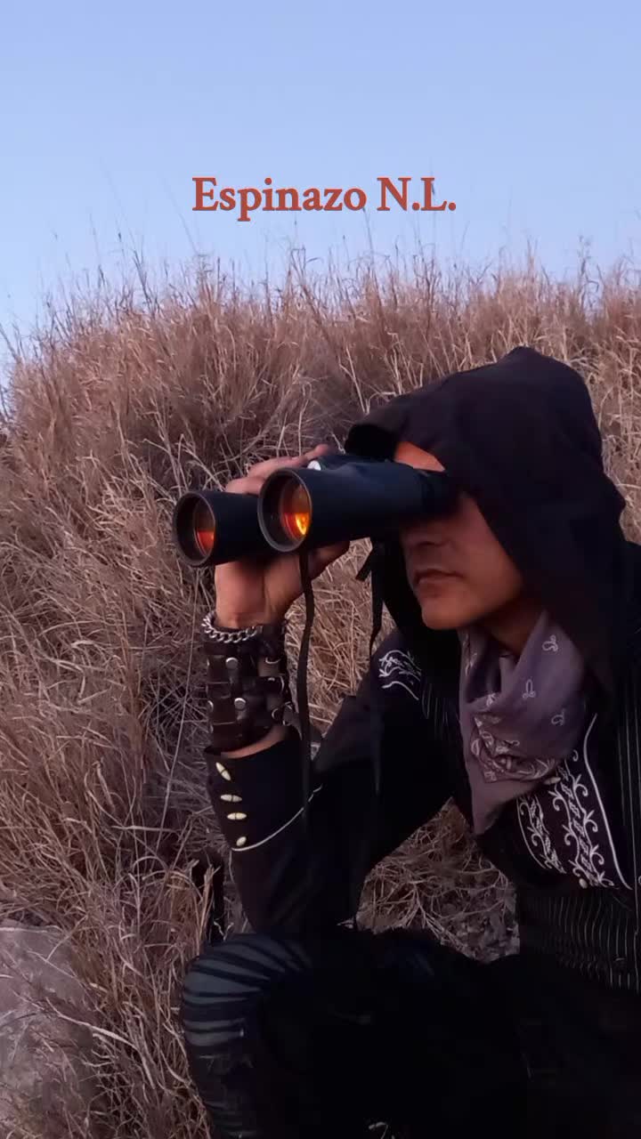 @The Phoenix Ren