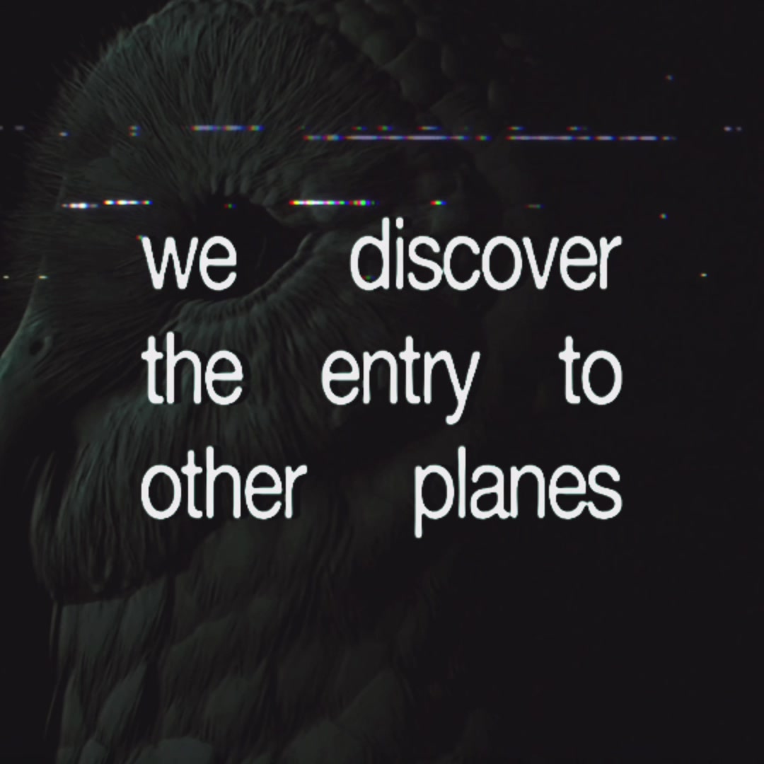@Deftones Fans
