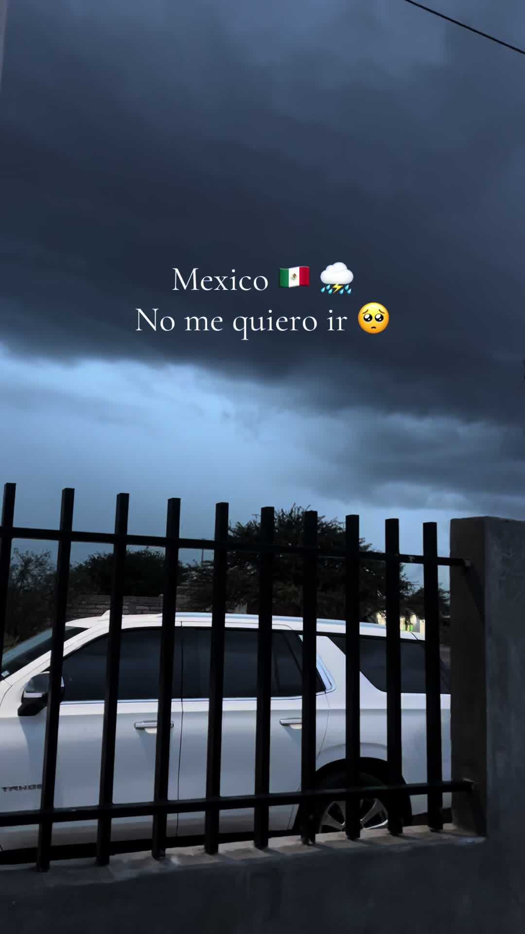 @carmencisneros.realtor