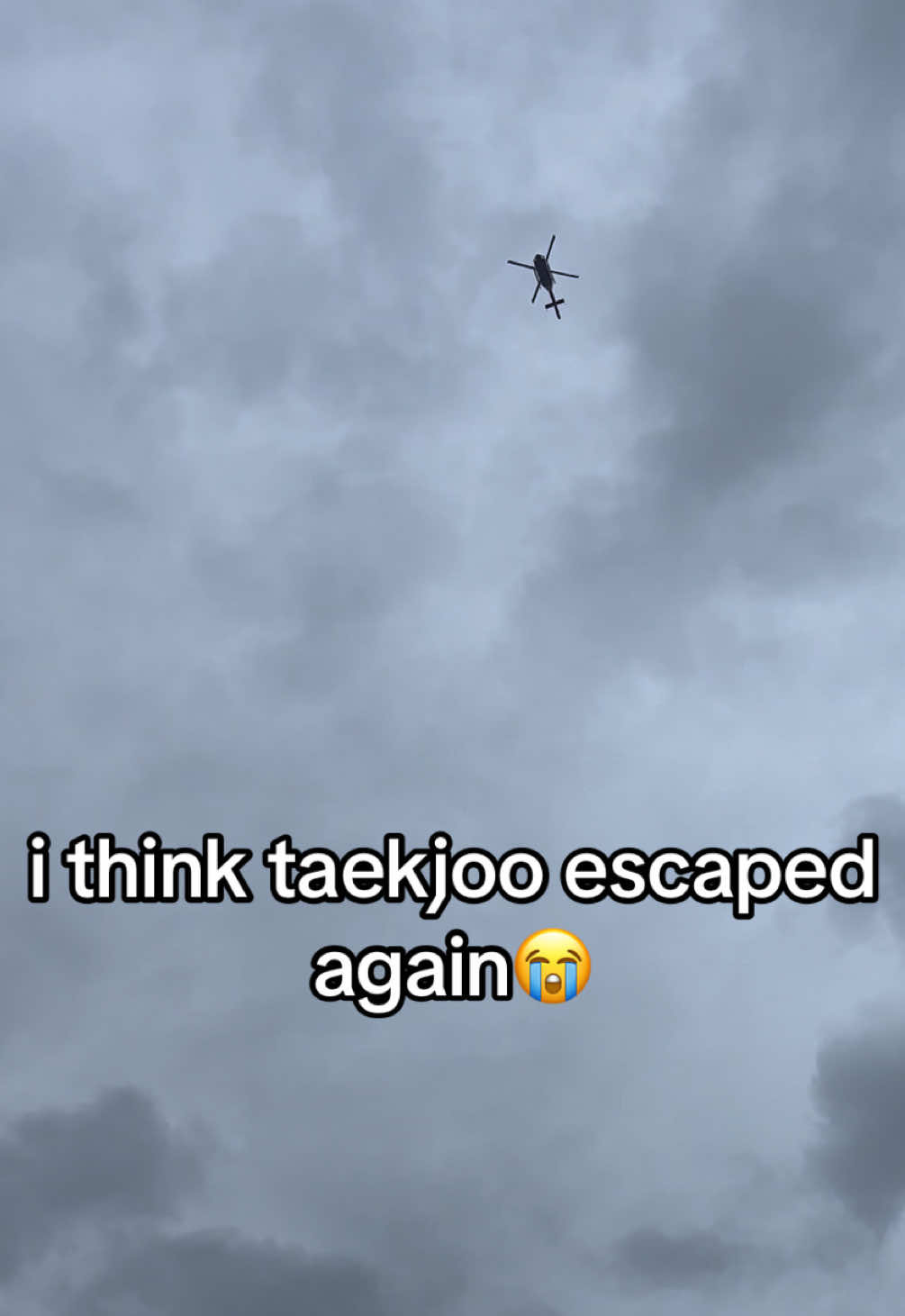 @Lily Bogdanova🐊