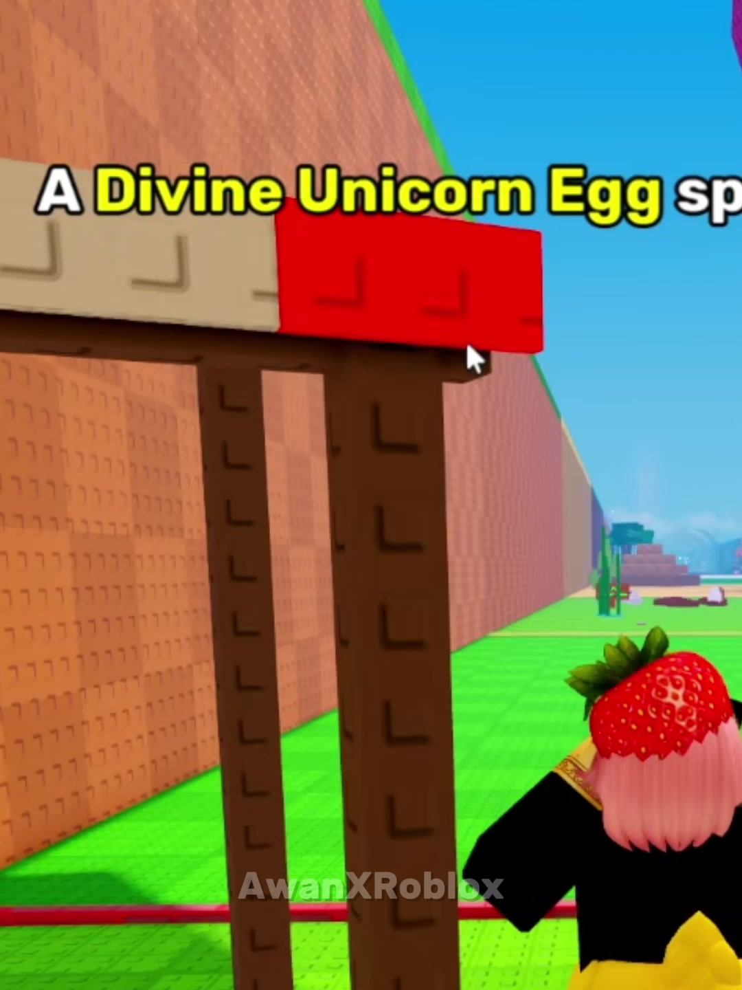 @AwanXRoblox