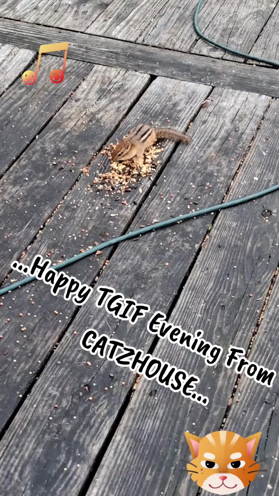@Booh Hovey crazycatlady3