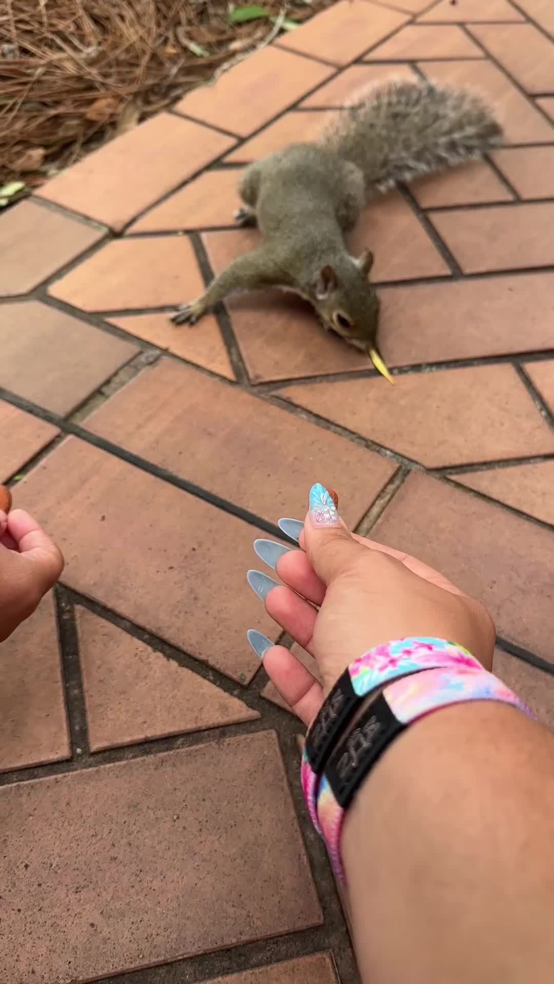 @Marissa Mu&ntilde;oz