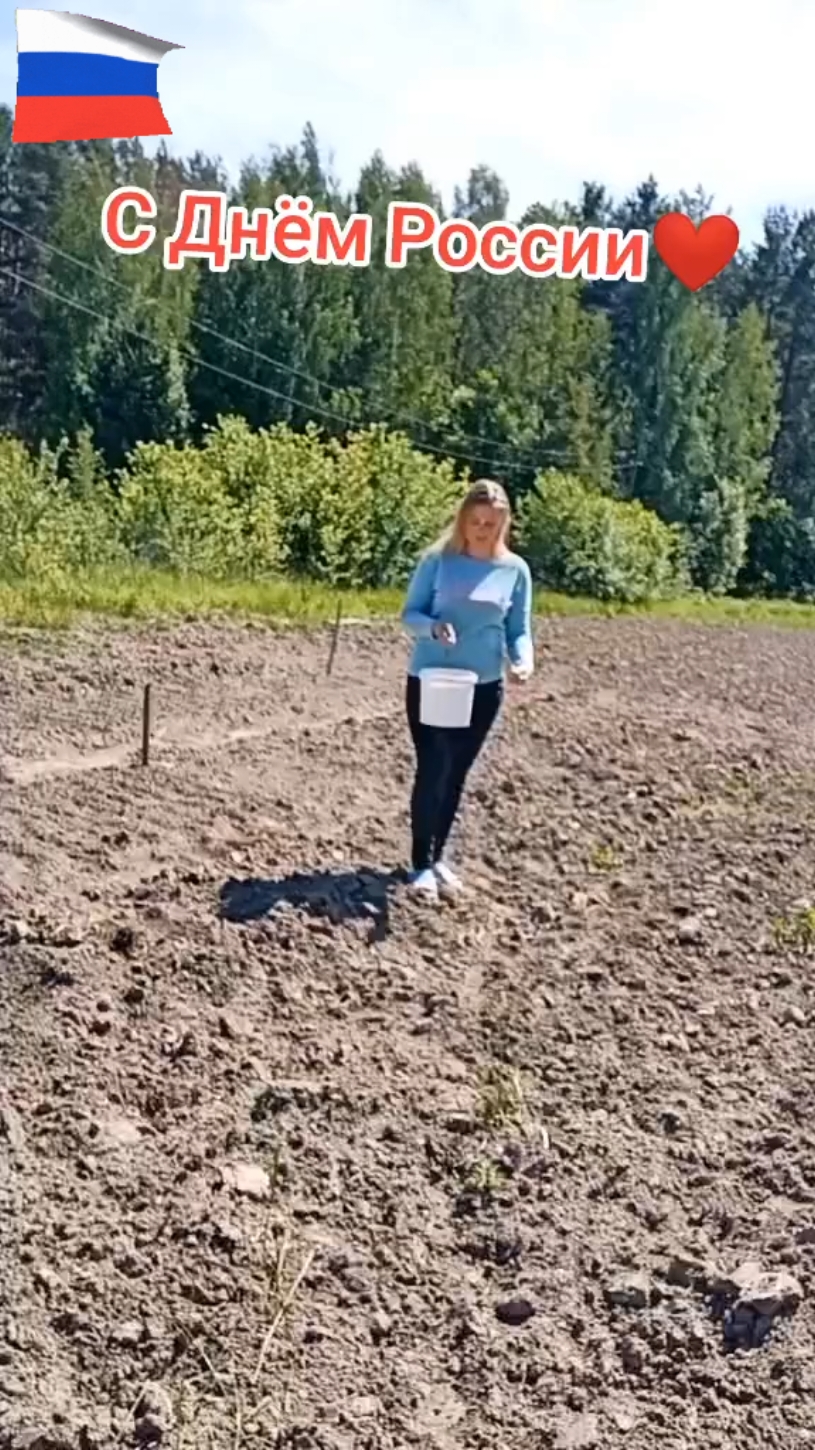 @Елена