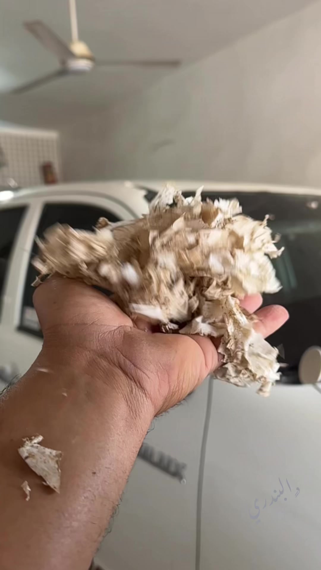 @ابو بندر الذويخ