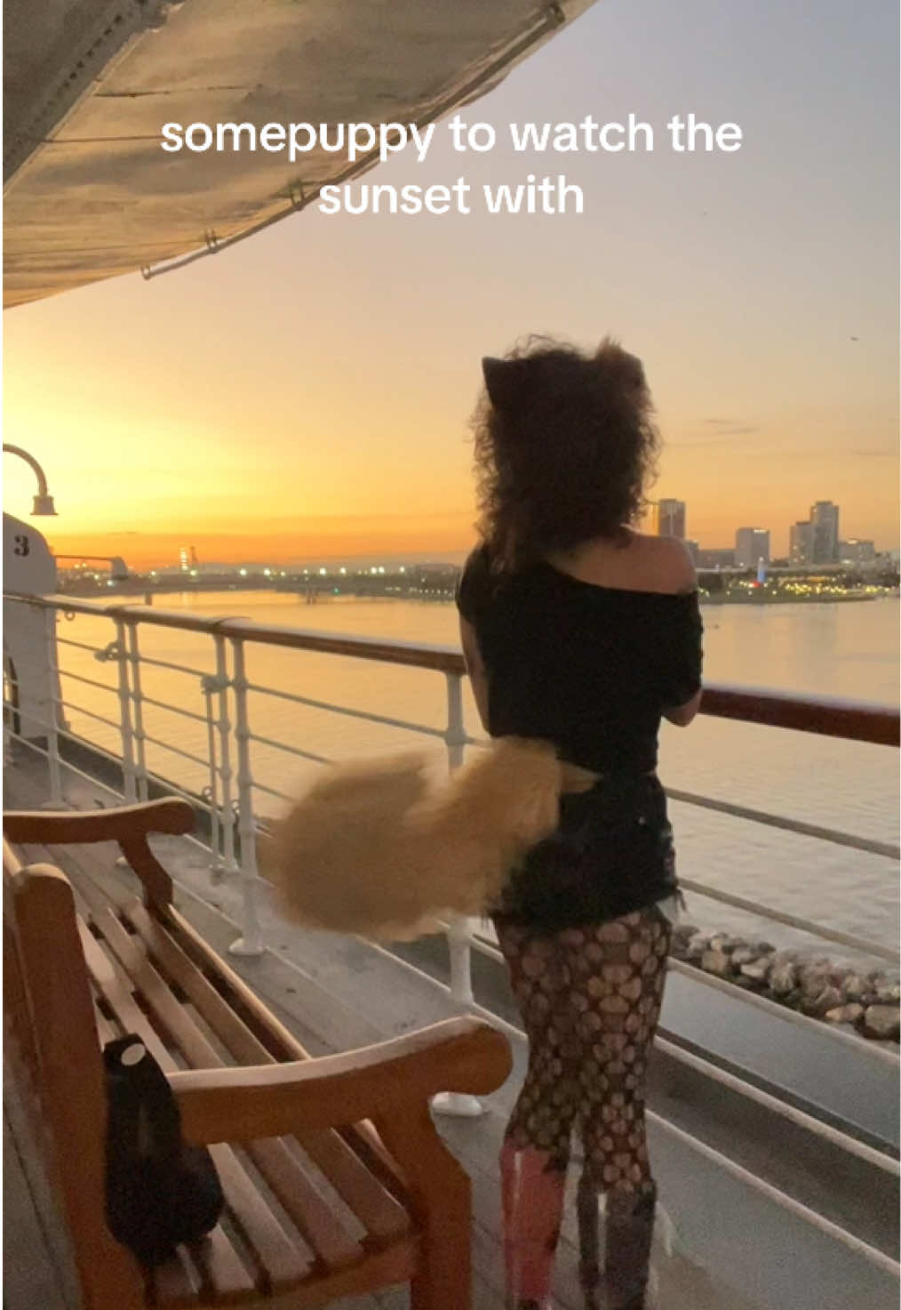 @a wolf named fox