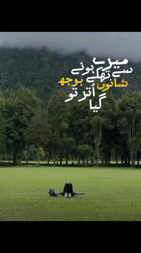 @Tehreem Duaa