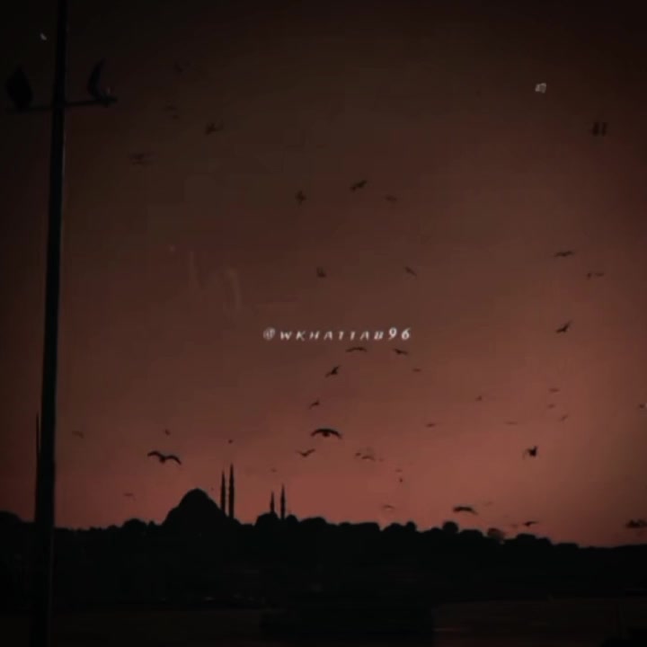 @استوريات 🍂