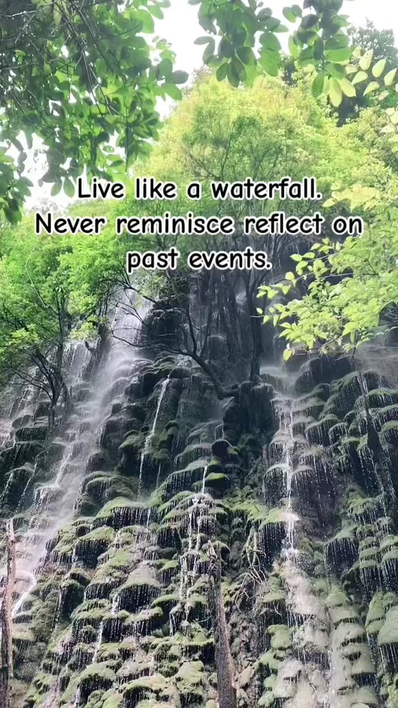 @ZUN🕊️🕊️🕊️