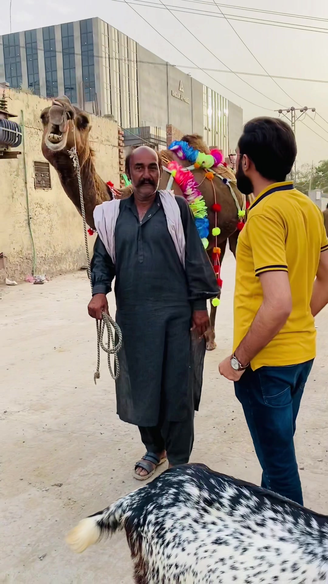 @Dr Amir Mustafa Daha