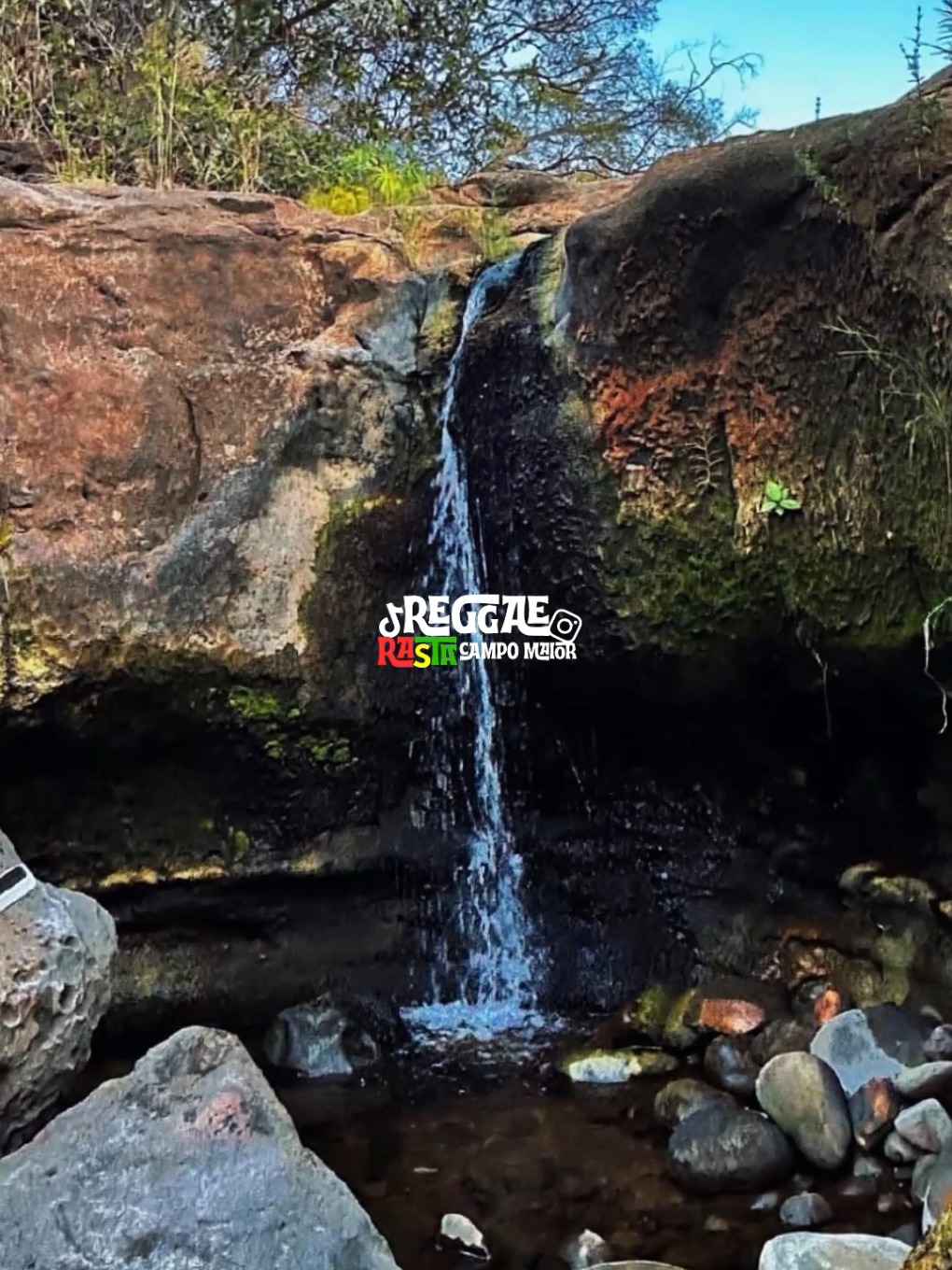 @REGGAE RASTA CM