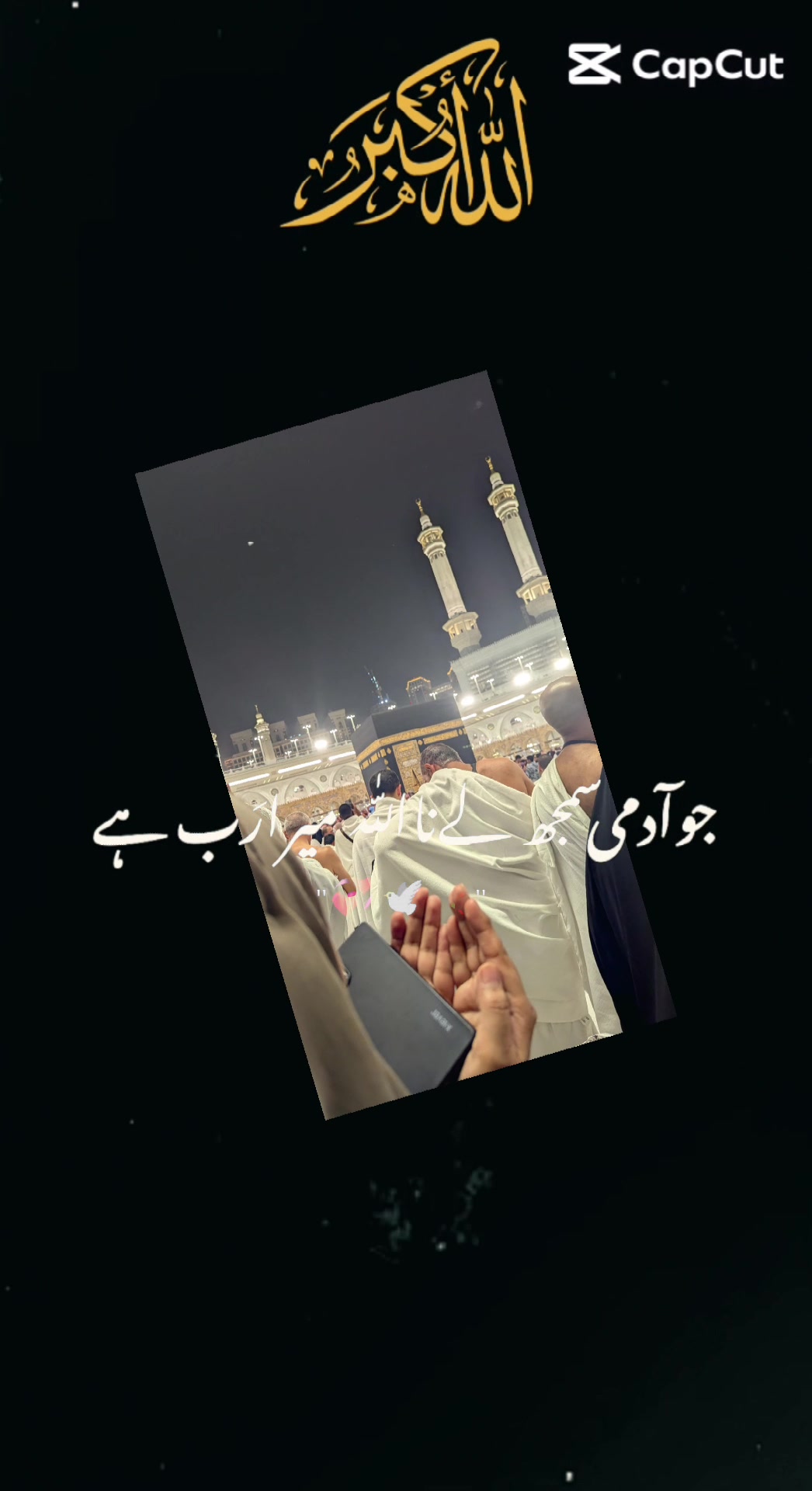 @shama jawed