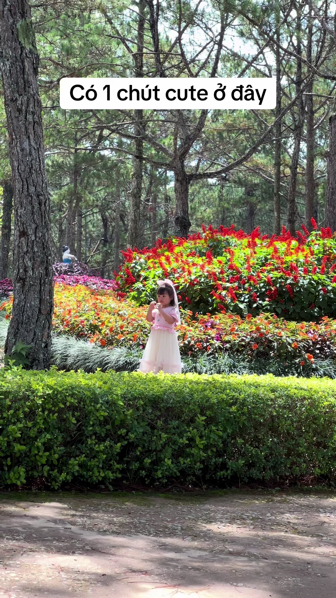 @Nguyen Xiem