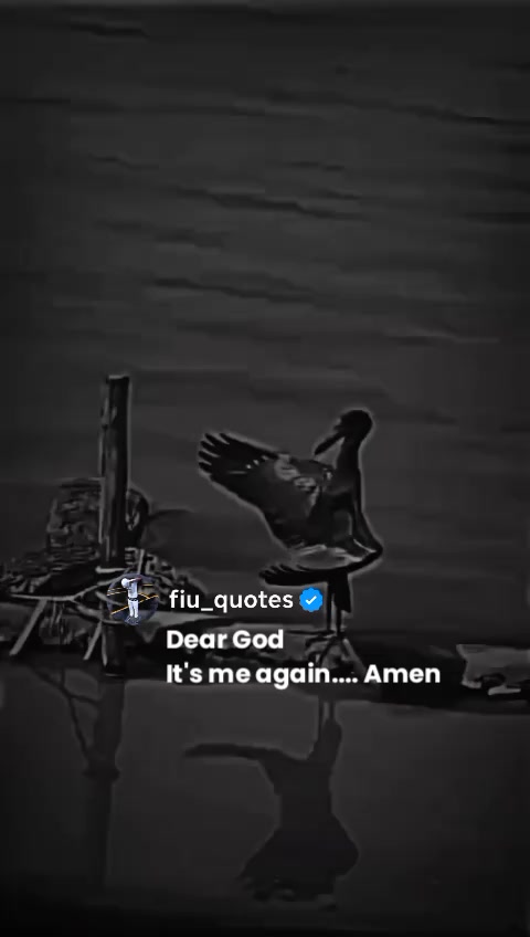 @fiu_quotes 🔵