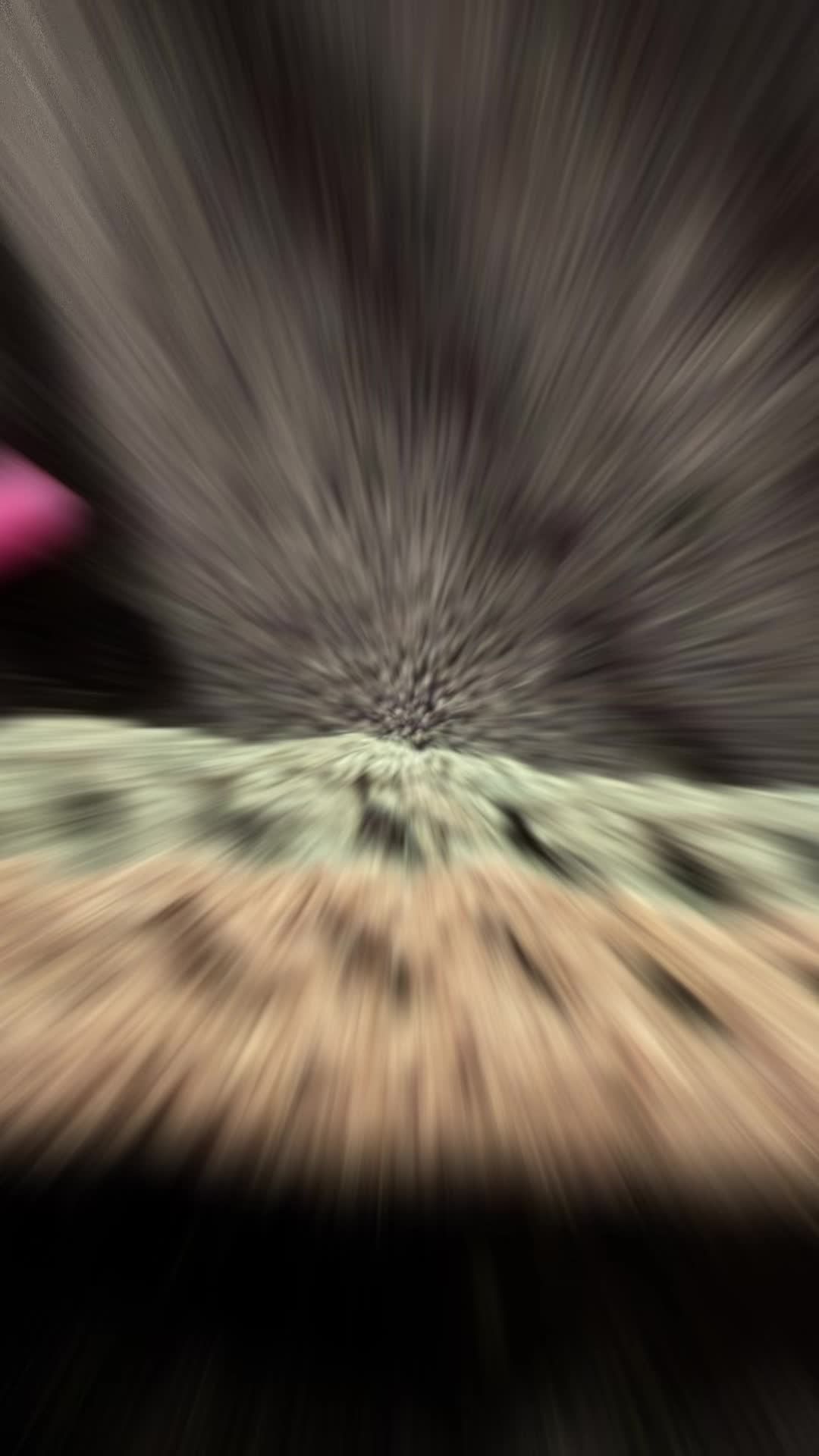 @HyperFocus81