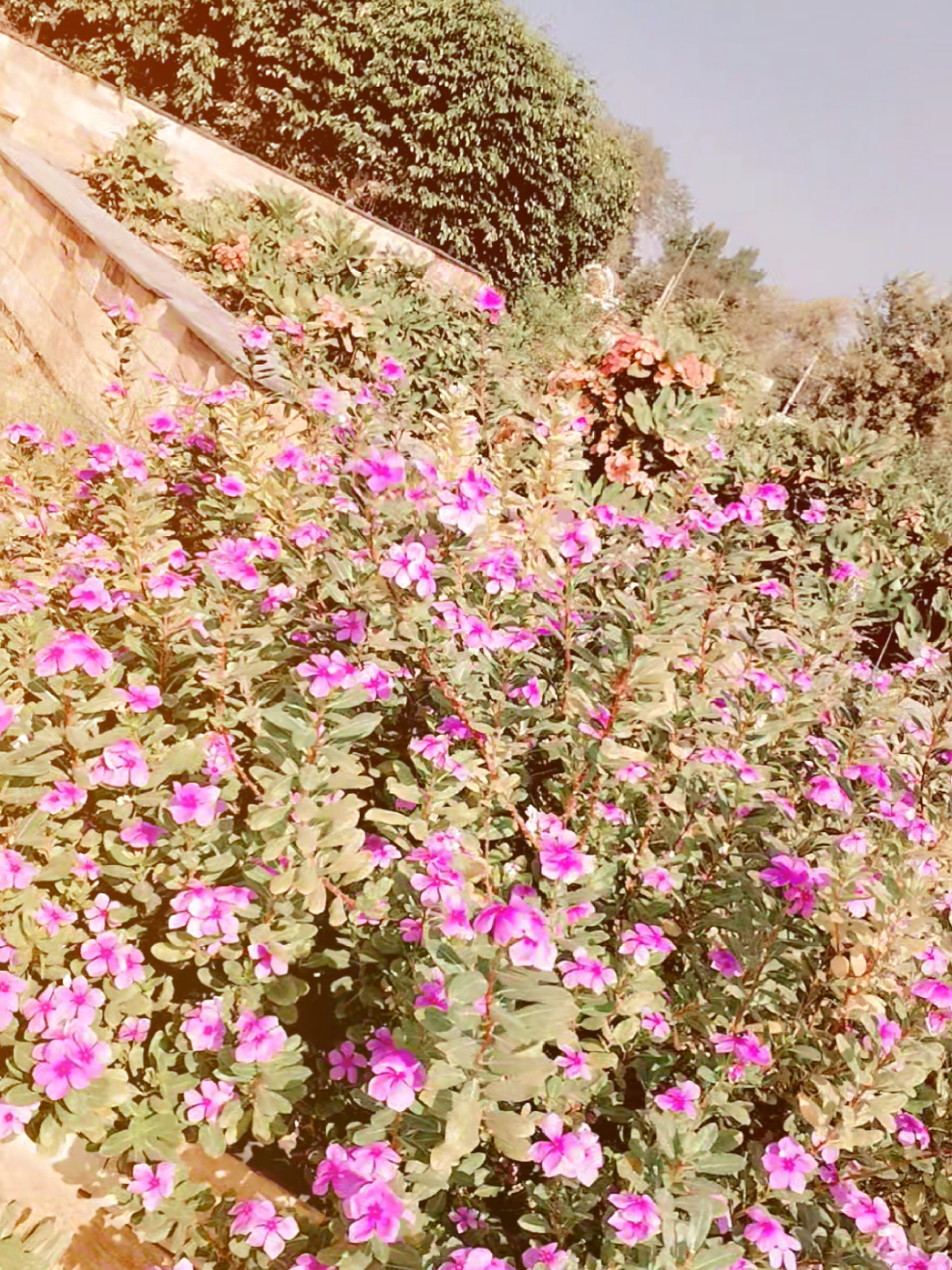 @zahra_haider986