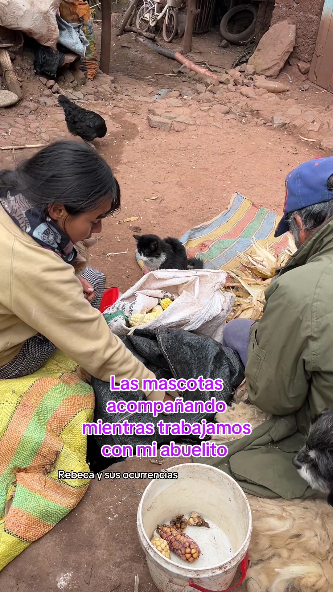@🐈Rebeca y sus ocurrencias