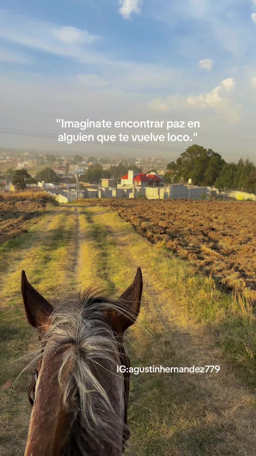 @Agus🩺🐎