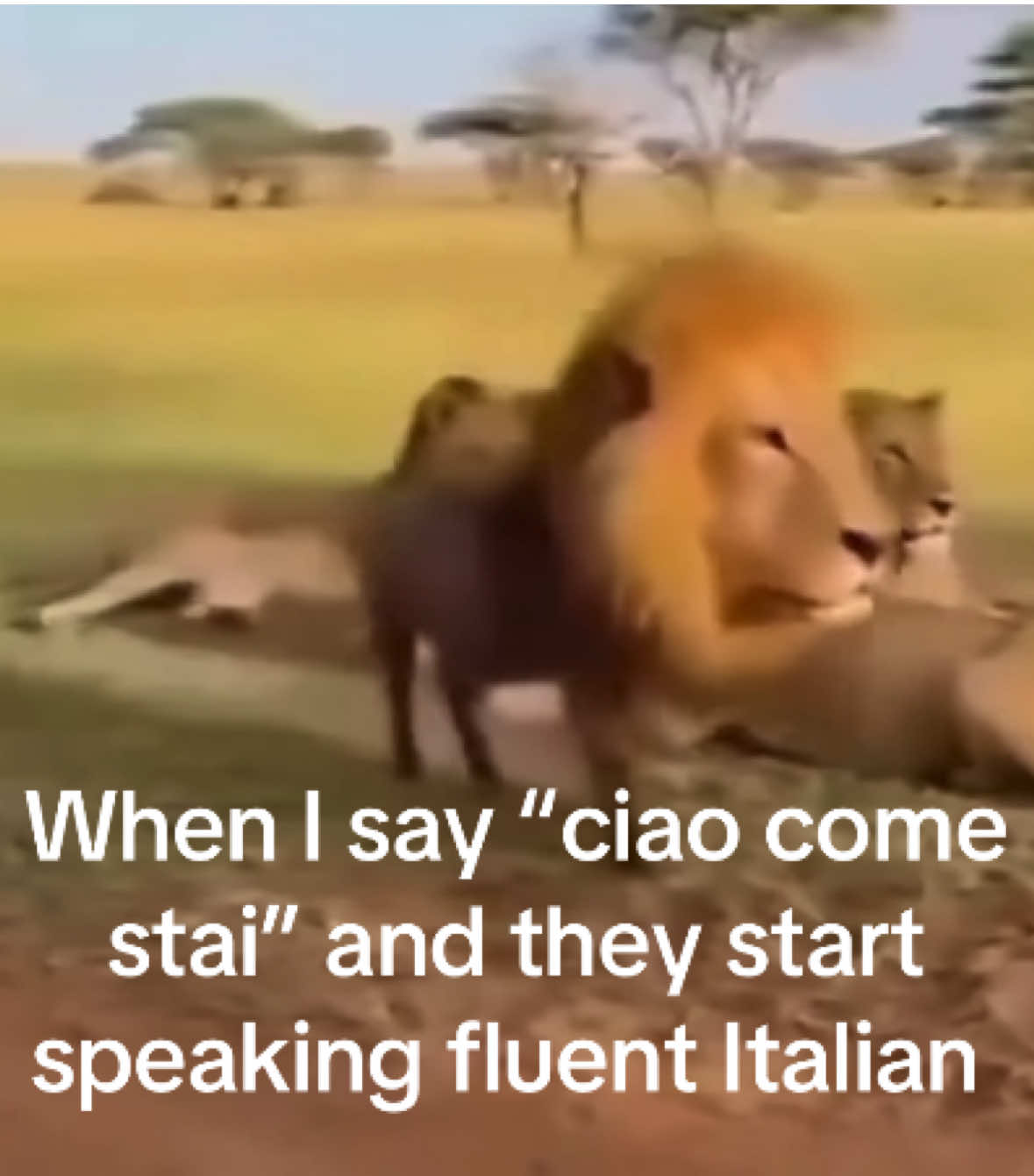 @notageeee
