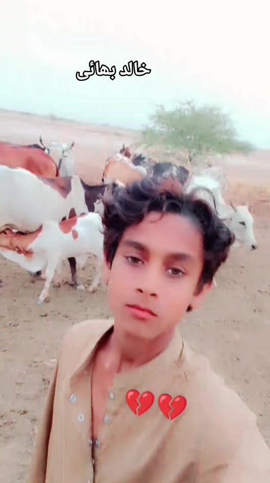 @جاوید سیکرٹری