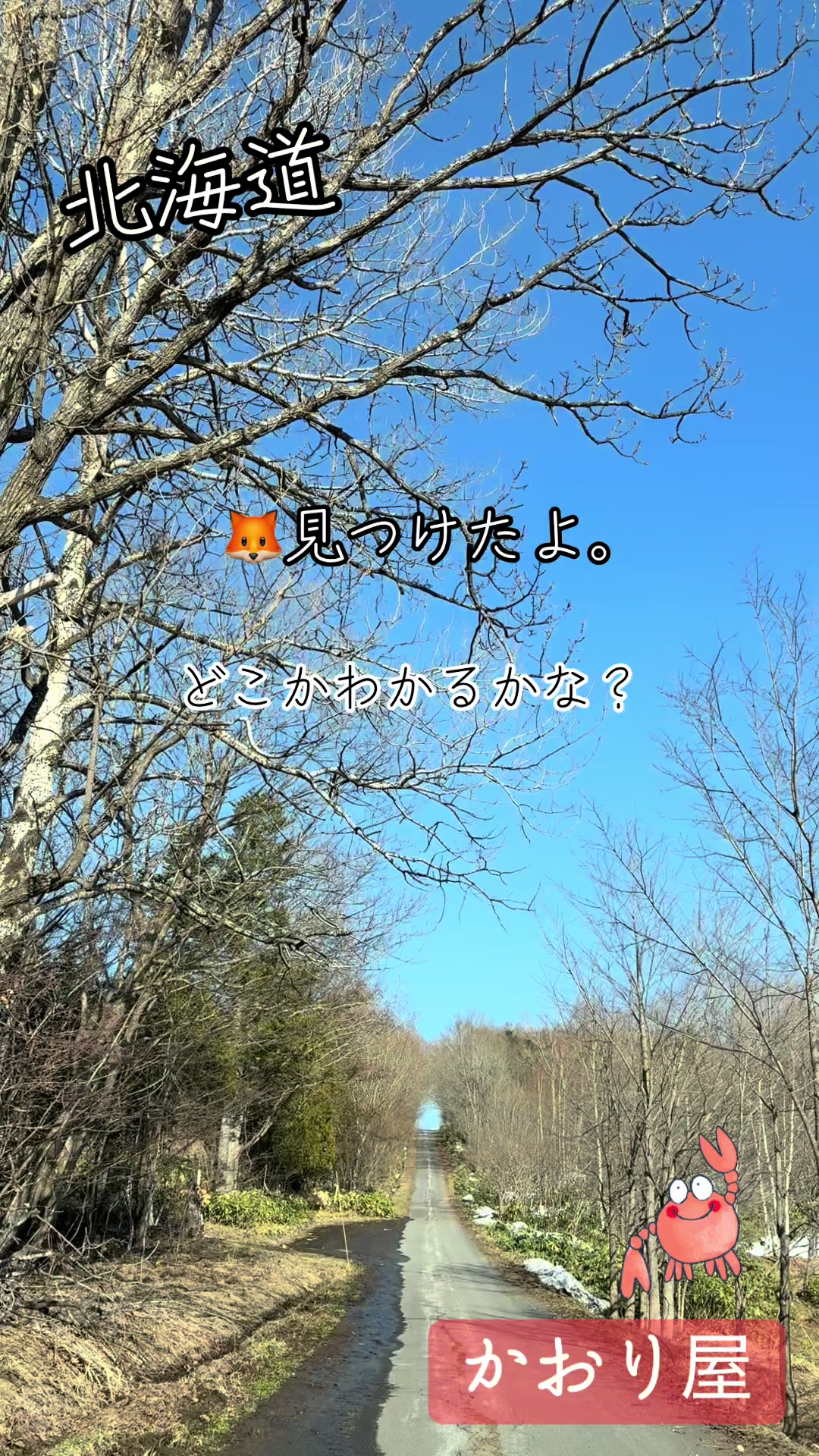 @誰かのかおり屋🦀🏍️🐻💰🐼