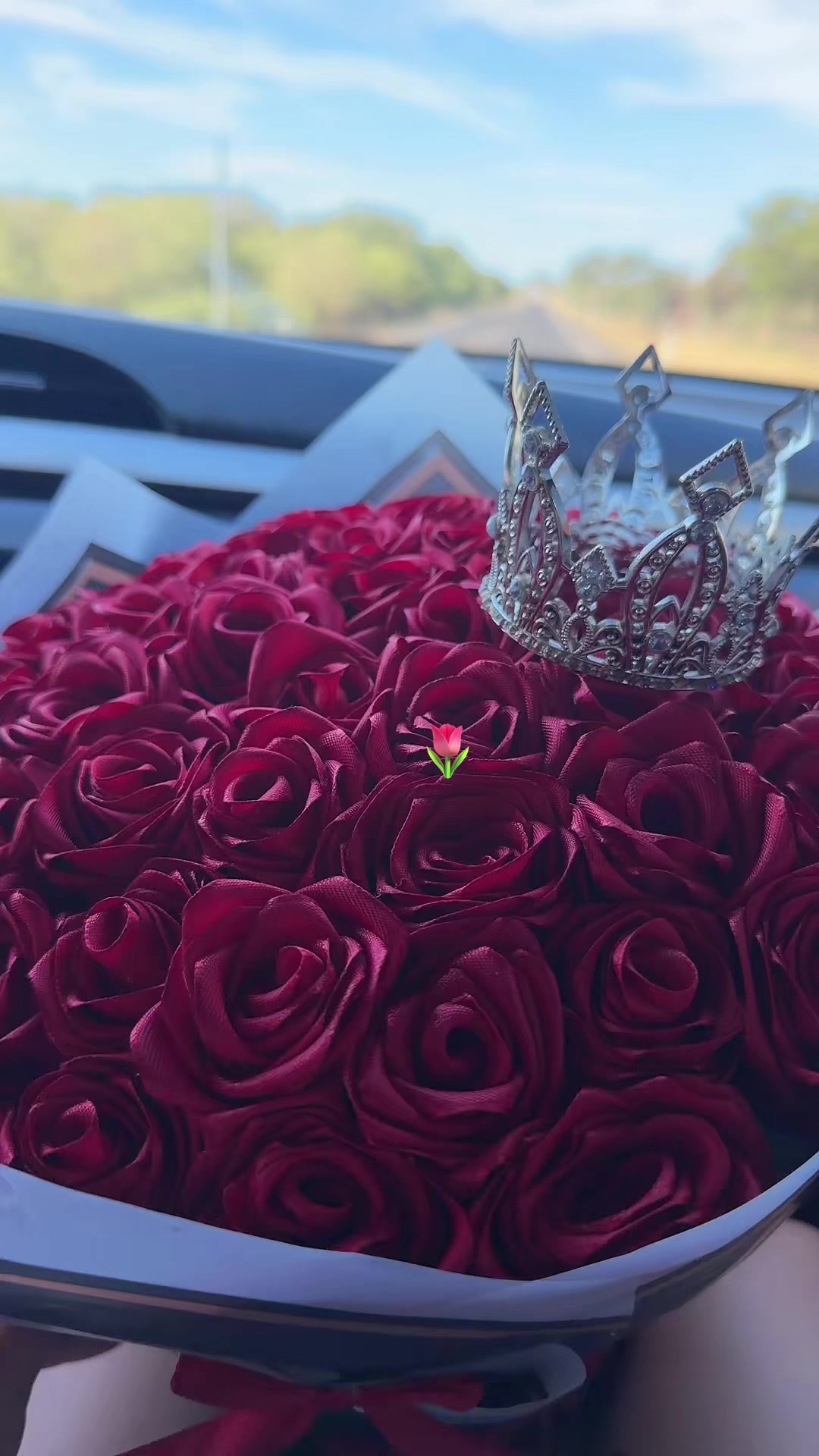@SelefalconZelaya 👑