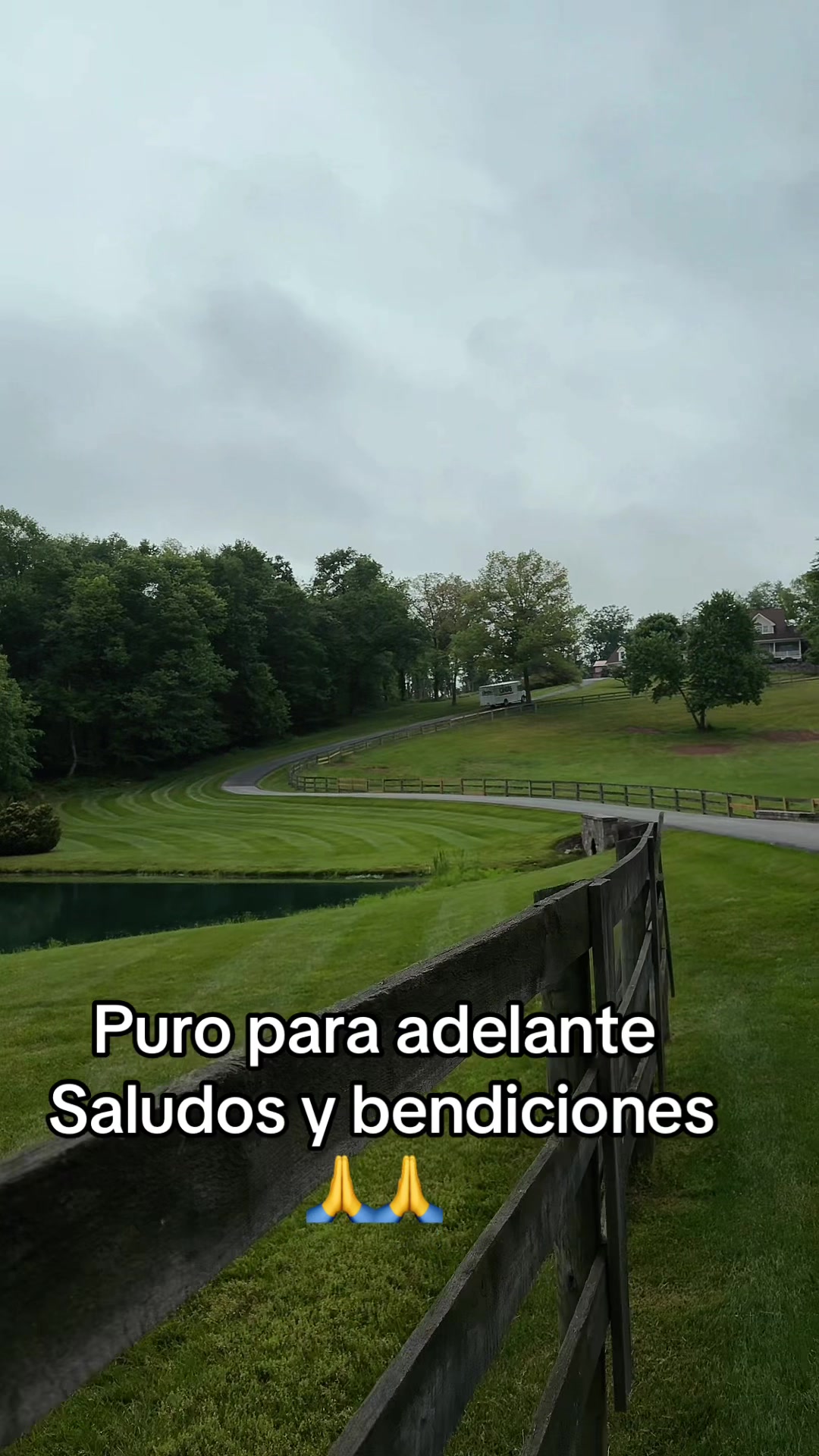 @Agusto Hernández