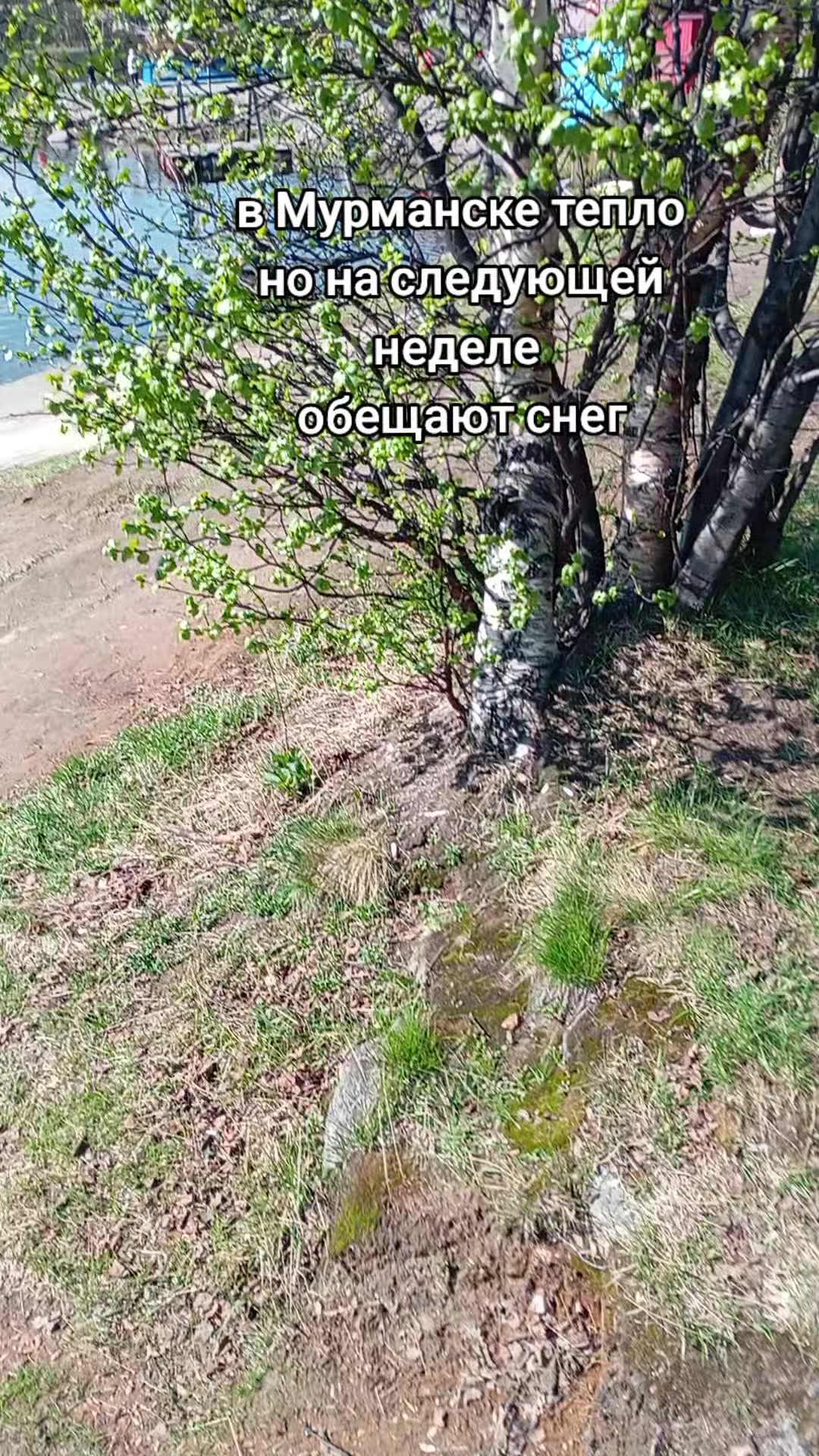 @ЖиЗнь на 2