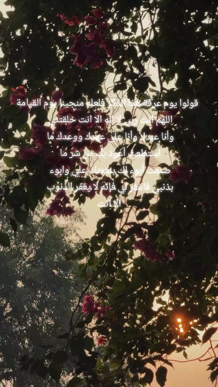 @🍉