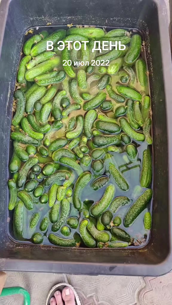 @Психолог на кухне Затока
