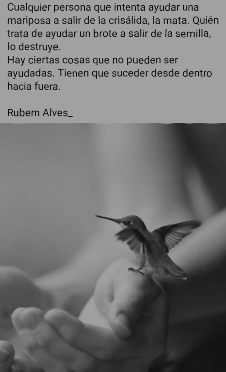 @Chema Camacho