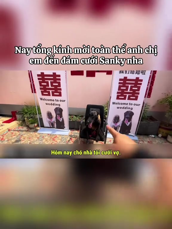 @Dương Anh 22